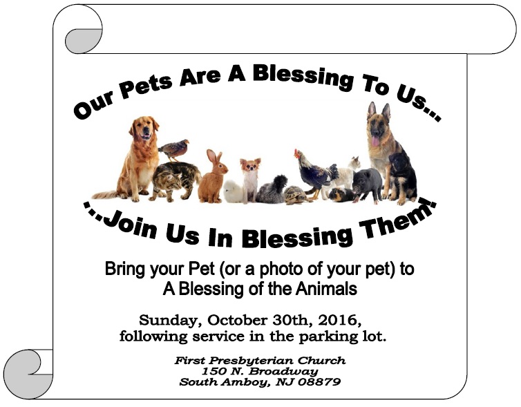 Blessing of The Pets